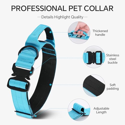 Tactical Thick Dog Collar, Adjustable Training Nylon Dog Collar, Heavy Duty Metal Buckle & Control Handle for Small Medium Large Dogs (L, Blue) - color: Blue, size: L