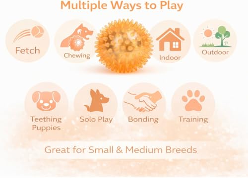 Squeaky Spiky Dog Ball for Teeth Cleaning & Gum Massage 3.5 Inch Medium Large Dogs Orange | Spiny TPR Rubber Chew Toy for Fetch Play Interactive Bouncy Dental Ball Durable BPA Free Nontoxic Floats - size: Orange, Ball - 1 Pack