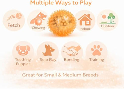 Squeaky Spiky Dog Ball for Teeth Cleaning & Gum Massage 3.5 Inch Medium Large Dogs Orange | Spiny TPR Rubber Chew Toy for Fetch Play Interactive Bouncy Dental Ball Durable BPA Free Nontoxic Floats - size: Orange, Ball - 1 Pack