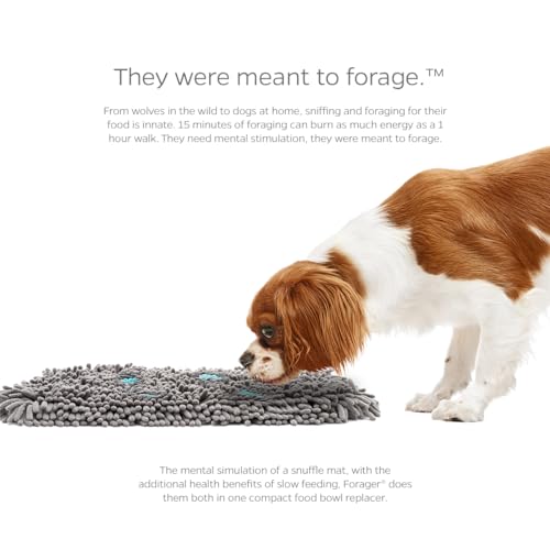Pet Parents Forager Snuffle Mat with SoftSnout & Non-Slip Backing, Slow Feeder for Large & Small Dogs (Meadow 12")
