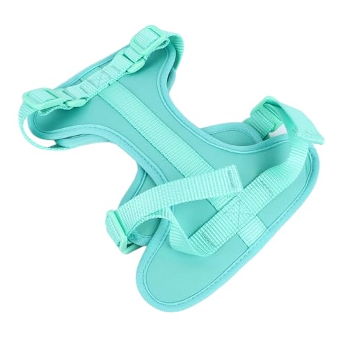 Adjustable Soft Breathable Escape Proof Dog Vest Harness, Pet Chest Harness for Small Dogs and Puppies, Bright Color Safety Design with Dual D Rings for Walking and (S) - color: Green