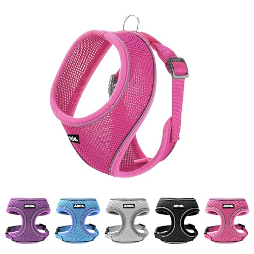 AIITLE Medium Girl Dog Harness, Comfortable Adjustable Mesh Vest with Quick-Release Buckle, Reflective Safety Strips – Perfect for Poodles, Teddy Dogs (M, Hot Pink) - color: Hot Pink, size: M