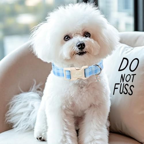 Boy Dog Collar Blue Gingham Dog Collars for Puppy Small Dogs - Lightweight Adjustable Spring/Summer Plaid Male Female Dogs Everyday Collar with Safety Buckle XS - color: Blue Gingham, size: XS