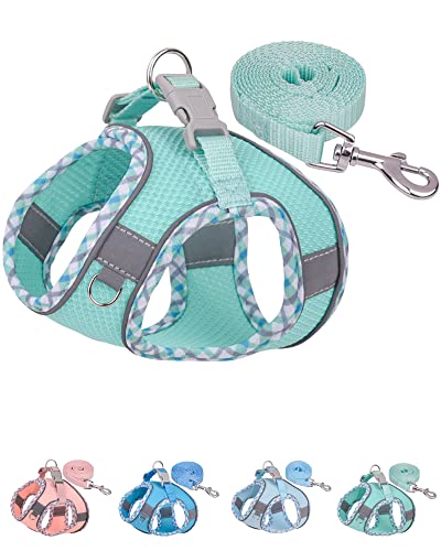 Petank Green Dog Harness (XS), No Pull, Puppy Harness and Leash Set, Jacquard Mesh, Easy Walk Dog Harness for Small Medium Dogs, Reflective Strip, Training, Running, Walking - color: Green, size: XS