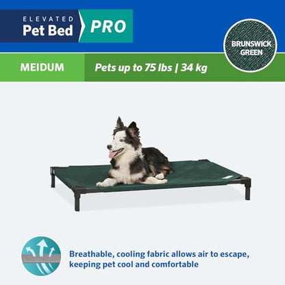 Coolaroo Pro Elevated Dog Bed - Low-Profile Access, Moisture-Resistant Cover, Breathable Fabric & Tool-Free Setup, Brunswick Green, Medium - color: Brunswick Green, size: Medium