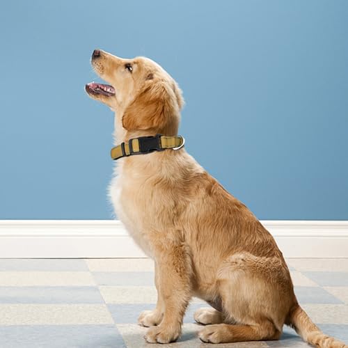 Reflective Dog Collar, Adjustable Soft Neoprene Padded Nylon Pet Collars with Buckle for Puppy and Small Dogs, Cats, Khaki,XS - color: Khaki, size: X-Small
