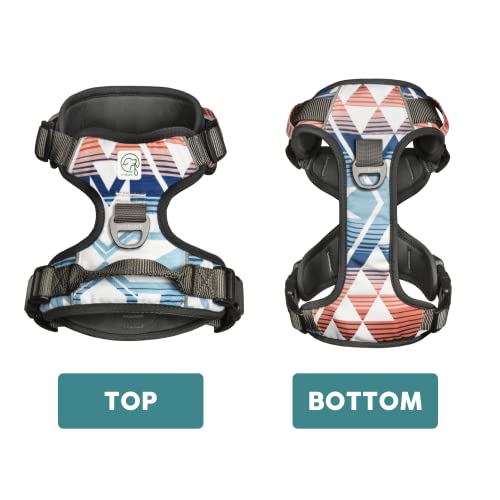 Embark Adventure Small Dog Harness – No-Pull, Reflective Trim, Military-Grade Nylon, Front Clip with Gel-Lined Handle - color: Santa Monica, size: S