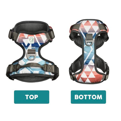 Embark Adventure Small Dog Harness – No-Pull, Reflective Trim, Military-Grade Nylon, Front Clip with Gel-Lined Handle - color: Santa Monica, size: S