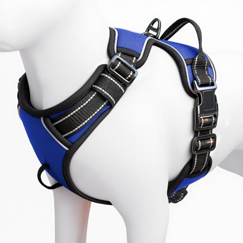 No Pull Dog Harness, No Chock Reflective Adjustable Soft Padded Pet Vest with Easy Control Handle, Easy Wearing with Stylish, Reinforced Knot, 2 Buckles - color: Dazzling Blue, size: X-Small
