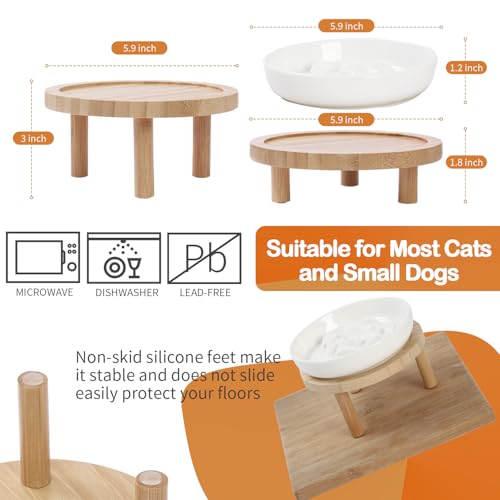 Raised Slow Feeder Cat Bowl, 5.9 Inch Wide Shallow Ceramic Elevated Glass Food Bowl Puzzle Feeders, Anti Vomit Cat Dish, Whisker Friendly Pet Plates Feeding Station for Indoor Cats, Kitten(2 Set) - size: 1 Slow Feeder & 1 Cat Plate