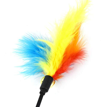 Toy Wand Feather Interactive Toy Kitten Indoor and Outdoor Pet Activity Game Interactive Wand Bouncer Plush Feather String Toy