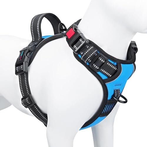 PHOEPET No Pull Dog Harnesses for Small Dogs Reflective Adjustable Front Clip Vest with Handle 2 Metal Rings 3 Buckles [Easy to Put on & Take Off](S, Blue) - color: Blue, size: Small