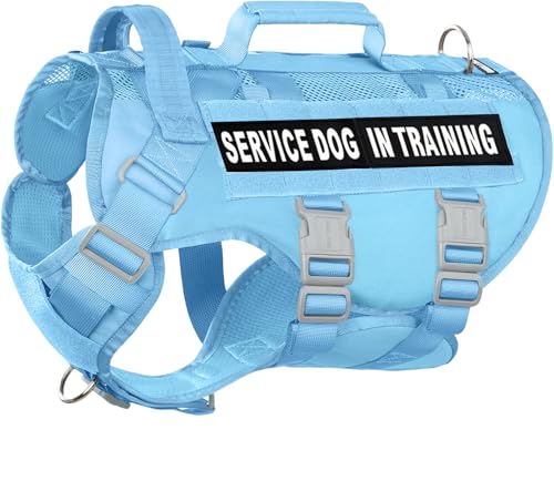 Service Dog Vest for Large Dogs, Blue Tactical Harness with Military MOLLE, Breathable Mesh & 39g Metal Buckle - Size M for Training & Hiking - color: Blue, size: M