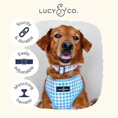 Lucy & Co. Dog Collar - Durable Lightweight Designer Collar for Pets - Adjustable Metal Safety Buckel - Small - White with Blue Bows - color: Bowwow Wow!, size: Small