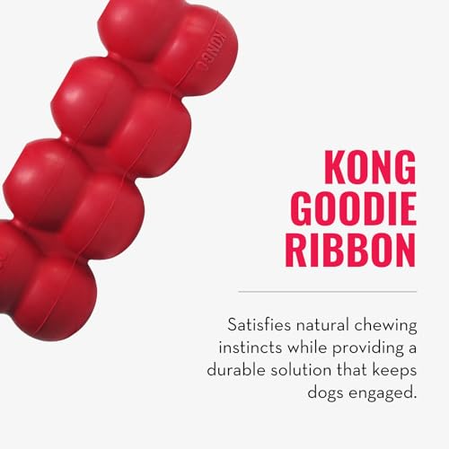 KONG Ring & Goodie Ribbon - Durable Rubber Treat-Dispensing Chew Toy for Dental Health - for Small Dogs - size: Small
