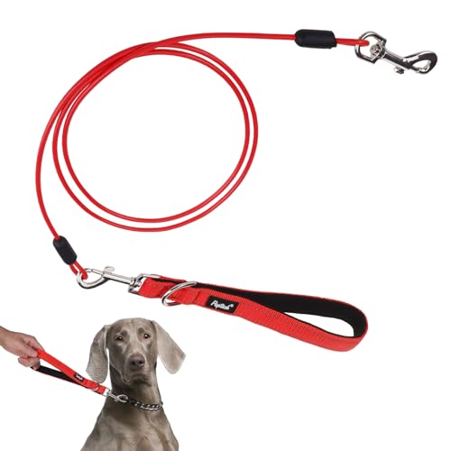 PUPTECK Chew Proof Dog Leash with Detachable Short Leashes Padded Handle Reflective, Heavy Duty Steel Cable Lead for Small Medium Large Dogs Training Walking, Red 4.9ft - color: Red