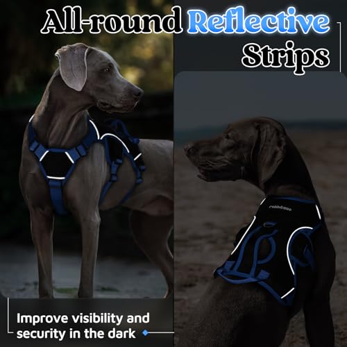 rabbitgoo Escape Proof Dog Harness Large Dogs, Soft Padded Full Body Pet Harness, Reflective Adjustable No Pull Vest with Lift Handle and Leash Clip for Walking Hiking Training, Blue & Black, M - color: Blue & Black, size: Medium (Pack of 1)