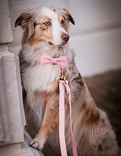 Soft Leather Bowtie Dog Collar - Adjustable Cute Bow Tie Collar [Easy to Clean] with Stylish Rose Gold Heavy Duty Metal Buckle for Small Medium Large Dogs Pink M - color: Pink, size: M(13.8"-19.7")