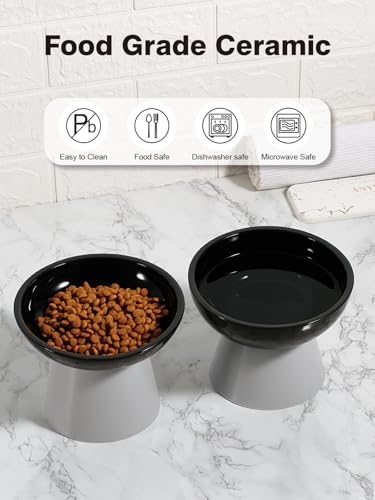 LoeJan Elevated Cat Food and Water Bowls Set, Extra Wide and Raised Ceramic Feeder, Anti-Vomit Whisker-Free Pressure Feeding Bowl for Kittens Adult Small Dogs (Black) - color: Black, size: Single (Water Bowl)