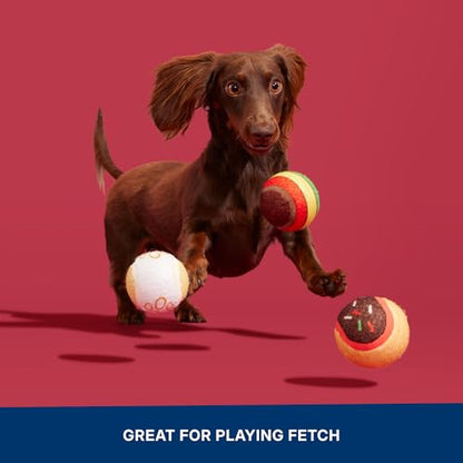Barkbox Ballscoti Cookies Rubber Tennis Balls for Dogs & Puppies | Italian-Inspired Trio of Squeaky Fetch Balls for Bounce, Chase & Play | Durable, Engaging & Fun for Playful Pups - color: Ballscoti