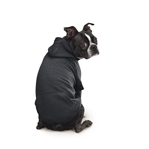 Zack & Zoey Basic Hoodie for Dogs, 12" Small, Jet Black - color: Jet Black, size: Small