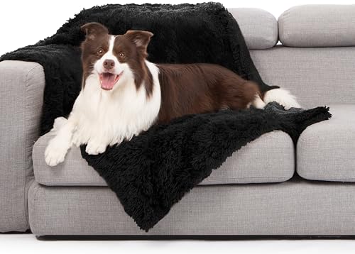 gogobunny Waterproof Dog Blanket for Couch & Furniture Protection - Super Soft Reversible Throw for Large Dogs & Cats, Calming Washable Fur & Sherpa Pet Blanket (40x50 Inch, Black) - color: Black, size: 40x50 Inch (Pack of 1)