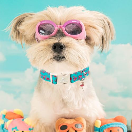 Summer Dog Collar, Cute Boy Flamingo Pool Party Dog Collars for Puppy Small Dogs - Beach Day Pup Collar, Soft Adjustable Male Pet Collars with Quick Release Buckle XS - color: Flamingo, size: XS