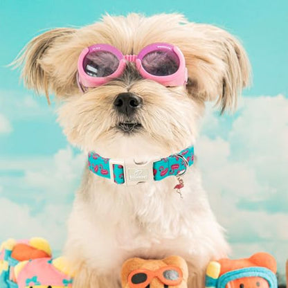 Summer Dog Collar, Cute Boy Flamingo Pool Party Dog Collars for Puppy Small Dogs - Beach Day Pup Collar, Soft Adjustable Male Pet Collars with Quick Release Buckle XS - color: Flamingo, size: XS
