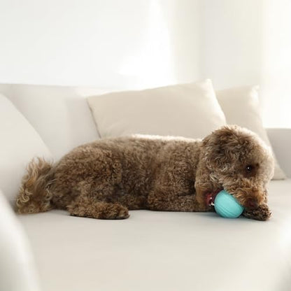 Playology Dog Toys | Dual Layer Ball Durable Chew Toy for Tough Chewers | Peanut Butter Medium Scented Dog Toy | Chew Toys for Dogs - size: Medium, style: Peanut Butter