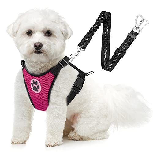 SlowTon Dog Seat Belt Harness for Car, Dog Car Harness Adjustable Mesh Breathable & Dog Seatbelt Safety Tether with Elastic Bungee for Small Medium Large Pets(Fuchsia, Double Clip, XS) - color: C-Fuchsia, size: X-Small