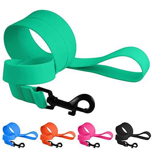 CollarDirect Waterproof Dog Leash Small Medium Large Durable Pet Leashes for Walking Training Running Pink Black Blue Orange Green (S, Mint Green) - color: Mint Green, size: S