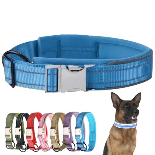 Small Reflective Dog Collar with Quick Release Metal Buckle Padded Nylon Waterproof Adjustable Comfortable for Girl Puppy and Small Dogs - color: Blue, size: S：Width 0.8" Length 13.0-15.8"