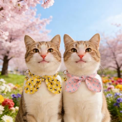 KOOLTAIL Summer Cat Collar Breakaway with Bowtie and Bells, 2 Pack Cute Kitten Collars, Butterfly & Bee Design with Safety Buckle Adjustable for Small Large Cats Boys & Girls - color: Butterfly & Bee