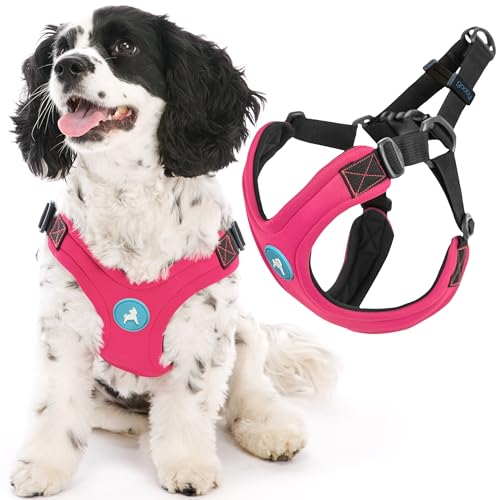 Gooby Escape Free Sport Harness - Pink, Small - No Choke Step-in Patented Neoprene Dog Harness with Four-Point Adjustment for Small to Medium Dogs - color: Pink, size: Small chest (12.5-18.75")