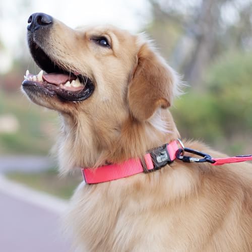 Small Dog Collar Quick-Release Pink| Heavy-Duty Nylon Puppy Collar, Adjustable & Durable Pet Supplies for Boy & Girl Dogs (Small, Candy Pink) - color: Candy Pink, size: Small