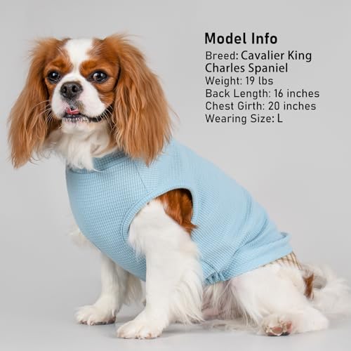 KYEESE Waffle Dog Shirt, Blue, L-Chest(18), Soft Stretchy, Lightweight, Breathable, Sleeveless, Plaid Patchwork, Small Breeds, Round Neck - color: 2#Blue, size: Large (12-18lbs)
