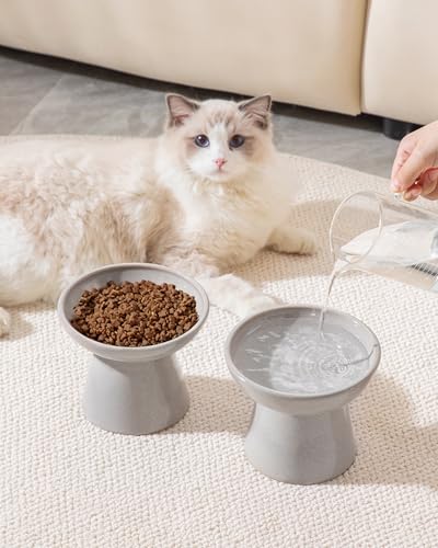 vancasso Ceramic Elevated Cat Bowls 2-Pack - 6.2" Extra Wide Raised Cat Food & Water Dishes, 5.1" Optimal Height Anti-Whisker Fatigue Shallow Bowls for Cats/Kittens/Dogs, Lead & Cadmium Free (Grey) - color: Grey