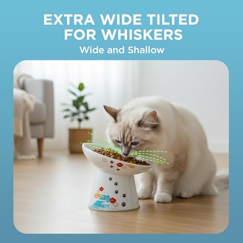 Necoichi Elevated Cat Food Bowl, Ceramic (Porcelain),15° Tilted, Whisker-Friendly, Dishwasher, Microwave Safe, Non-Slip, Anti-Vomiting, Neck Fatigue (Fuji, Extra Wide Tilted, 1.5-Cups Capacity) - color: Fuji, size: Large Extra Wide Tilted (1.5 Cups)