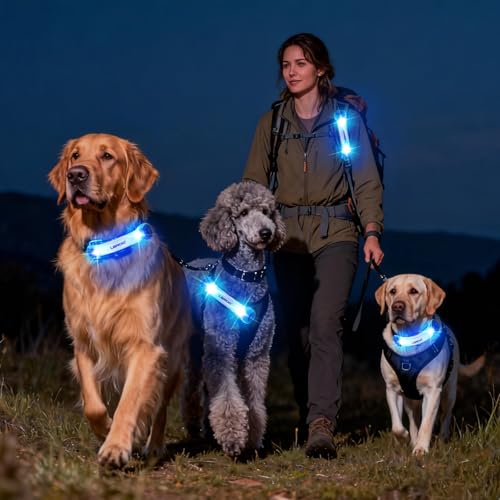 LaRoo LED Dog Collar Light, Hook & Loop Pet Safety Night Light, Glowing LED Strip for Dog Collar Leash Harness, High Visibility Waterproof Dog Lights for Night Walking Running Camping (Blue) - color: Blue