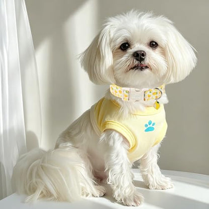 Summer Dog Collar Yellow Lemon Dog Collars for Puppy Small Dogs - Lightweight Adjustable Cute Male Female Dogs Everyday Collar with Safety Buckle XS - color: Yellow Lemon, size: XS