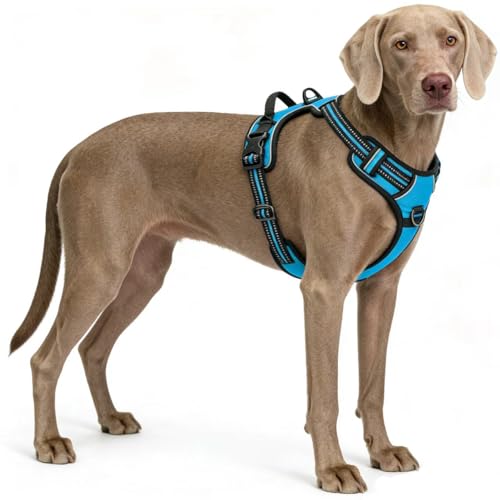 Blue No-Pull Dog Harness with 2 Leash Clips，Soft Padded Vest for Large Dog, Adjustable Reflective Dog Vest Easy to Put on and Take Off, (Neck: 17"~24", Chest: 24"~32",Blue L) - color: Blue, size: Large