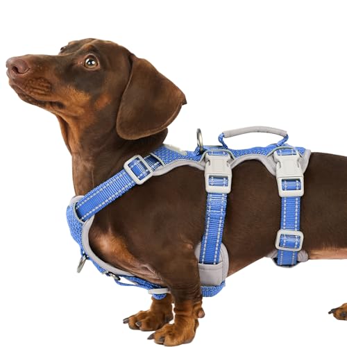 Huntboo Escape Proof Harness for Dogs, No Escape Dog Harness, No Pull Dog Harness for Small Dogs with Handle, Reflective, Breathable,Durable, Adjustable Vest for Walking,and Running Gear(Vista Blue,S) - color: Vista Blue, size: Small(Pack of 1)