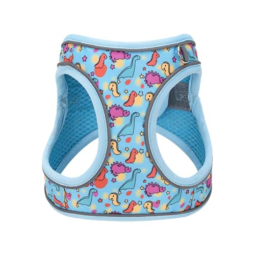 Step in Dog Harness No Pull Dinosaur Adjustable Soft Mesh Padded Reflective Pet Vest Harness and Leash Set for Small Medium Dogs - color: Blue, size: S(neck:10.5"-12",chest:13.5"-16")