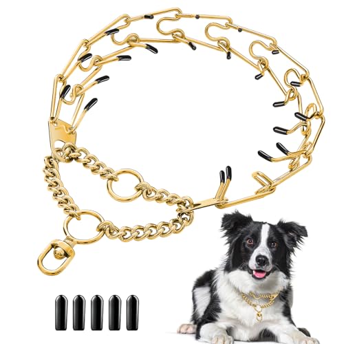 Stainless Steel Dog Pinch Collar - Gold Prong Training Collar, No Pull Martingale Collar for Medium & Large Dogs (S, Gold) - size: S