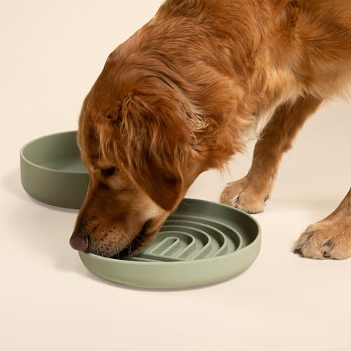 Should We Go? Slow Feeder for Dogs & Puppies, The Slowdown Bowl Silicone Slow Eating, Modern Lick Mat Design, Reduces Gulping, Fits 2.5 Cups, 9.5” Across x 1.5” Tall, Mealtime Challenge, Large-Sage - color: Sage - Rainbow Design, size: Large (9.5” Across