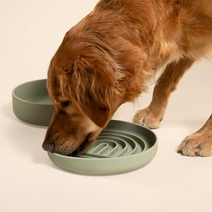 Should We Go? Slow Feeder for Dogs & Puppies, The Slowdown Bowl Silicone Slow Eating, Modern Lick Mat Design, Reduces Gulping, Fits 2.5 Cups, 9.5” Across x 1.5” Tall, Mealtime Challenge, Large-Sage - color: Sage - Rainbow Design, size: Large (9.5” Across
