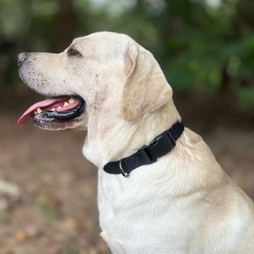 Premium Classic Sturdy Nylon Webbing Adjustable Dog Collars,Soft and Smooth Regular 5/8 Inch Wide Dog Collars with Quick Release Clasp for Pup Dogs Walking,Training.(Small, Black) - color: Black, size: Small 11-14 Inches
