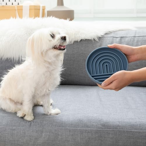 Should We Go? Slow Feeder for Dogs & Cats, The Slowdown Bowl Silicone Slow Eating Mealtime Solution with Modern Lick Mat Design, Reduces Gulping, Fits 1 Cup, 6” Across x 1.25” Tall, Small-Ocean - color: Ocean - Rainbow Design, size: Small (6” Across x 1.2