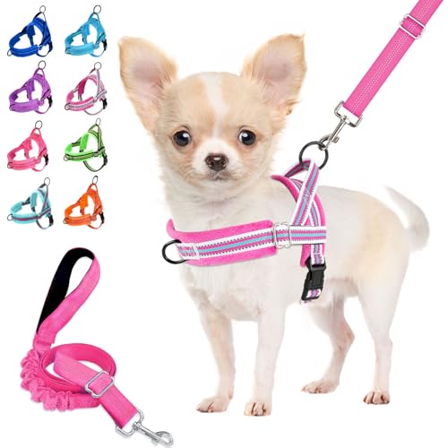 Lukovee No Pull Dog Harness and Leash Set, Soft Padded Small Dog Harness, Neck & Chest Adjustable Reflective Vest Puppy Harness with 4ft Lightweight Anti-Twist Dog Leash for Small Dogs (XS, Fuschia) - color: Fuchsia - with Stripe, size: XS ( Chest 14'' ~