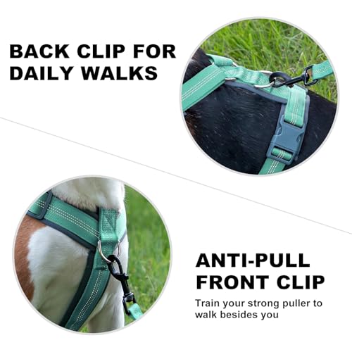 Plutus Pet No Pull Dog Harness, Adjustable Nylon Harness with Soft Padding, Reflective and Heavy Duty Dog Harness for Small, Medium, Large Dogs(Teal, XS) - color: Teal, size: XS
